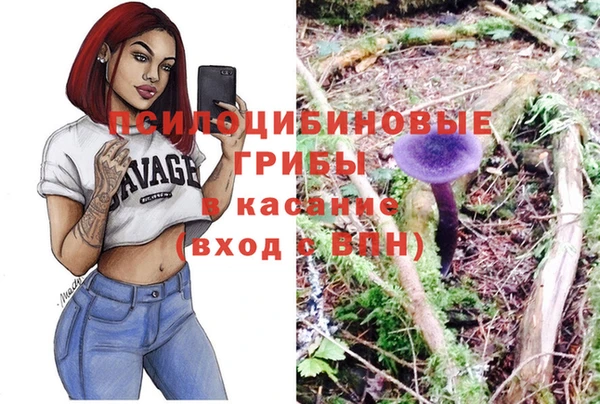 ГАЛЛЮЦИНОГЕННЫЕ ГРИБЫ Волосово