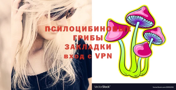 ГАЛЛЮЦИНОГЕННЫЕ ГРИБЫ Волосово