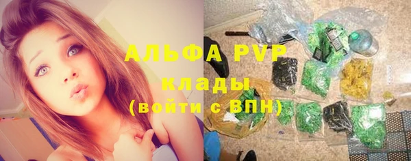 спайс Верея