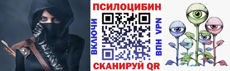 цены   Казань  Галлюциногенные грибы Psilocybe 