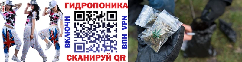 Бошки Шишки планчик  купить наркотики сайты  Казань 